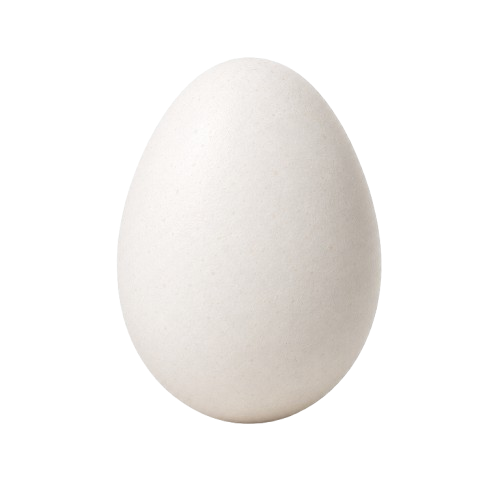 Jajko